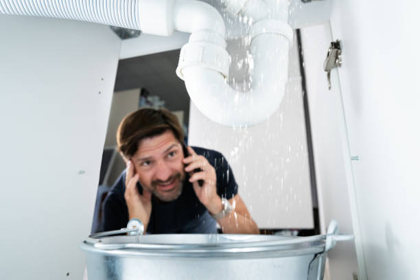 Best Shower Repair Services  in Monroeville, AL