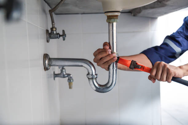 Best Plumbing Services Near Me  in Monroeville, AL